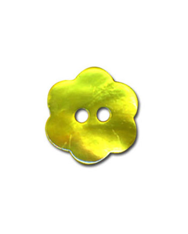 Anisgrüner Perlmutt-Blumenknopf